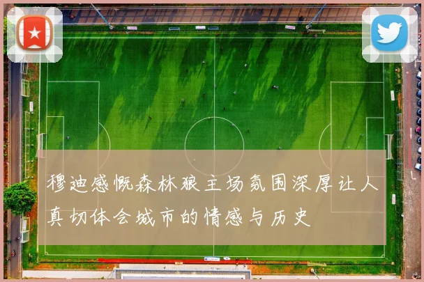 穆迪感慨森林狼主场氛围深厚让人真切体会城市的情感与历史