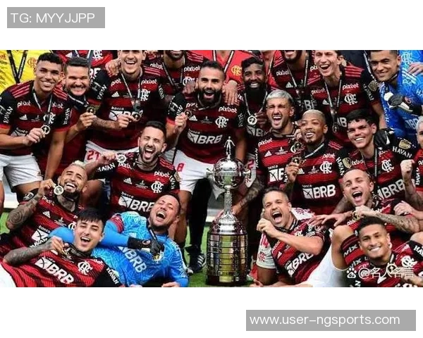 南美解放者杯决赛球队的巴西统治力近十年显著体现